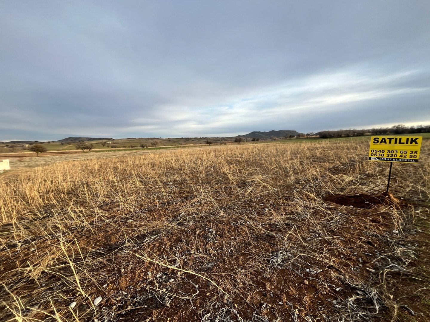 CEVHERDUDAYEVDE SATILIK TARLA
