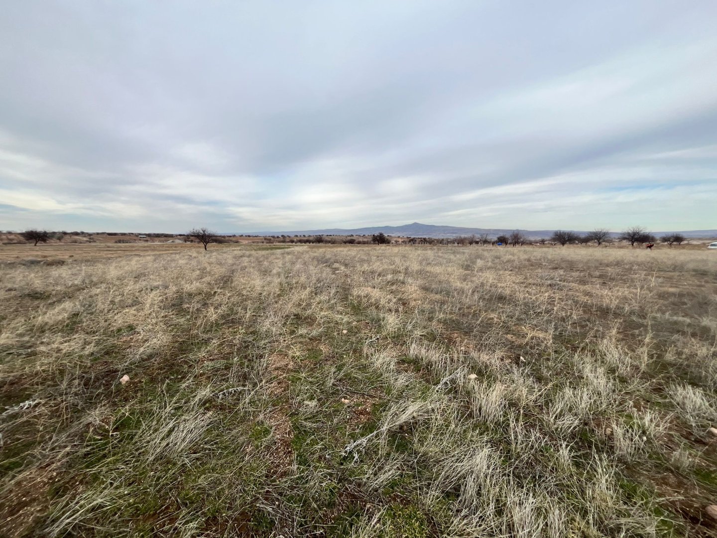 ÇATDA SATILIK TARLA.