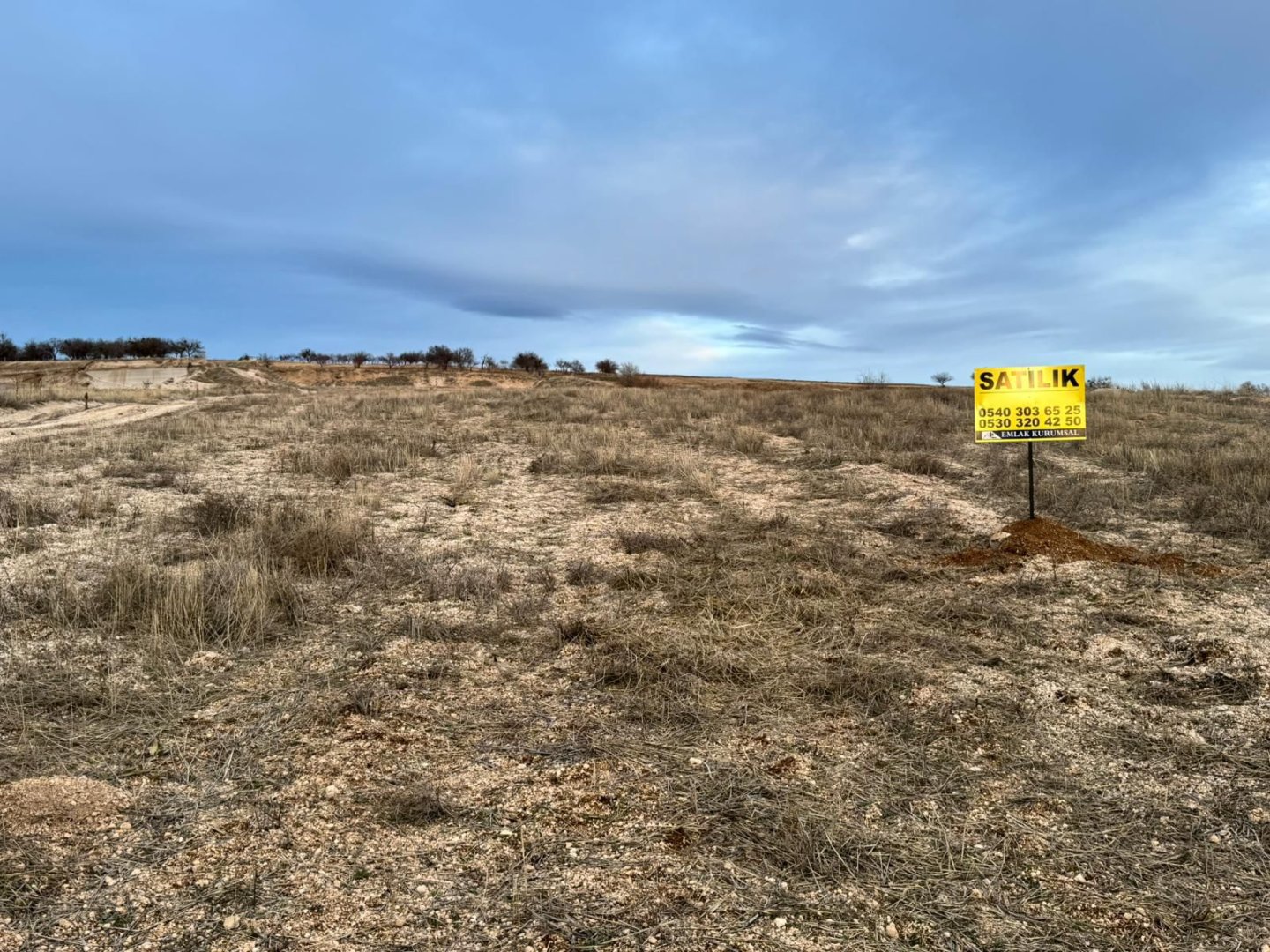 ÇARDAKDA SATILIK TARLA.
