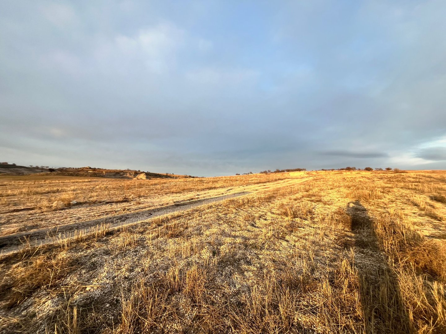 ÇARDAKDA SATILIK TARLA.