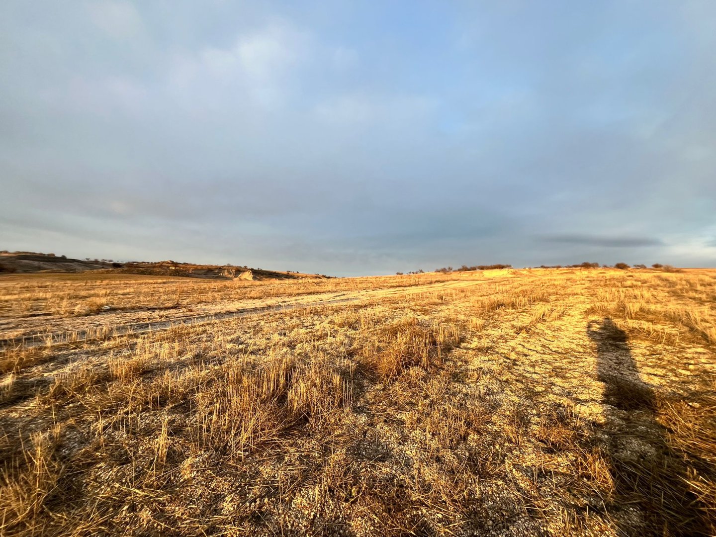 ÇARDAKDA SATILIK TARLA.