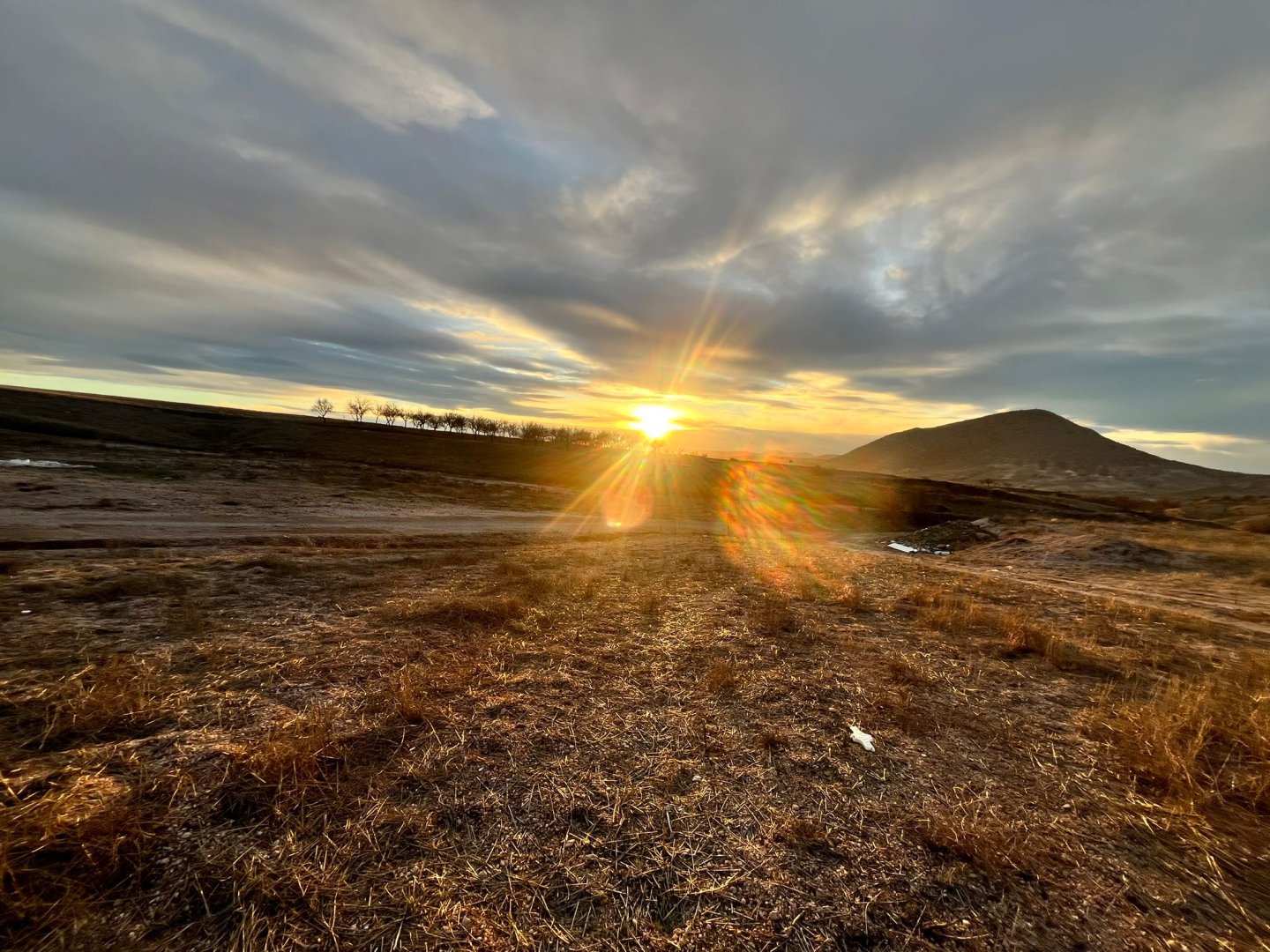 ÇARDAKDA SATILIK TARLA.