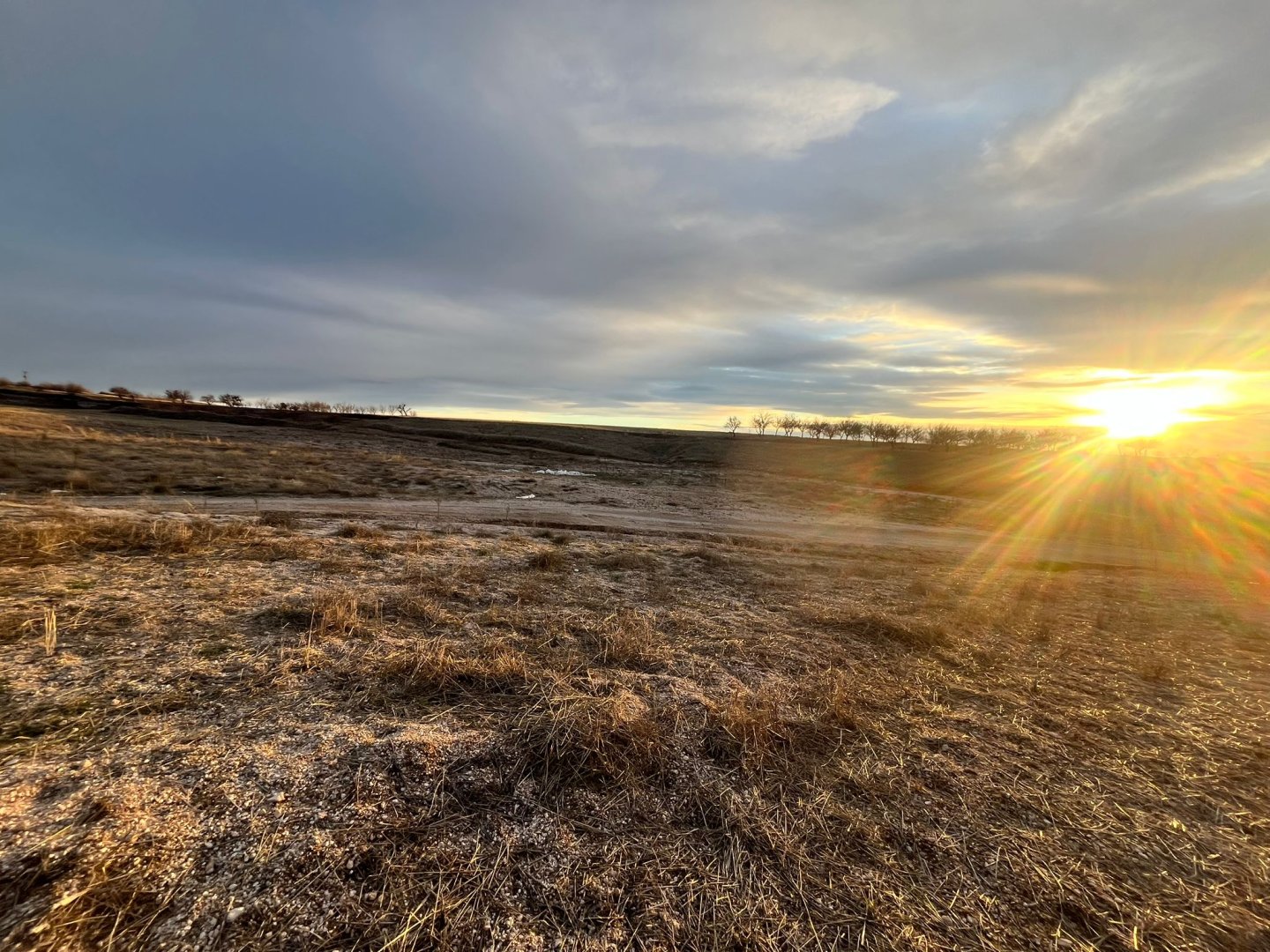 ÇARDAKDA SATILIK TARLA.