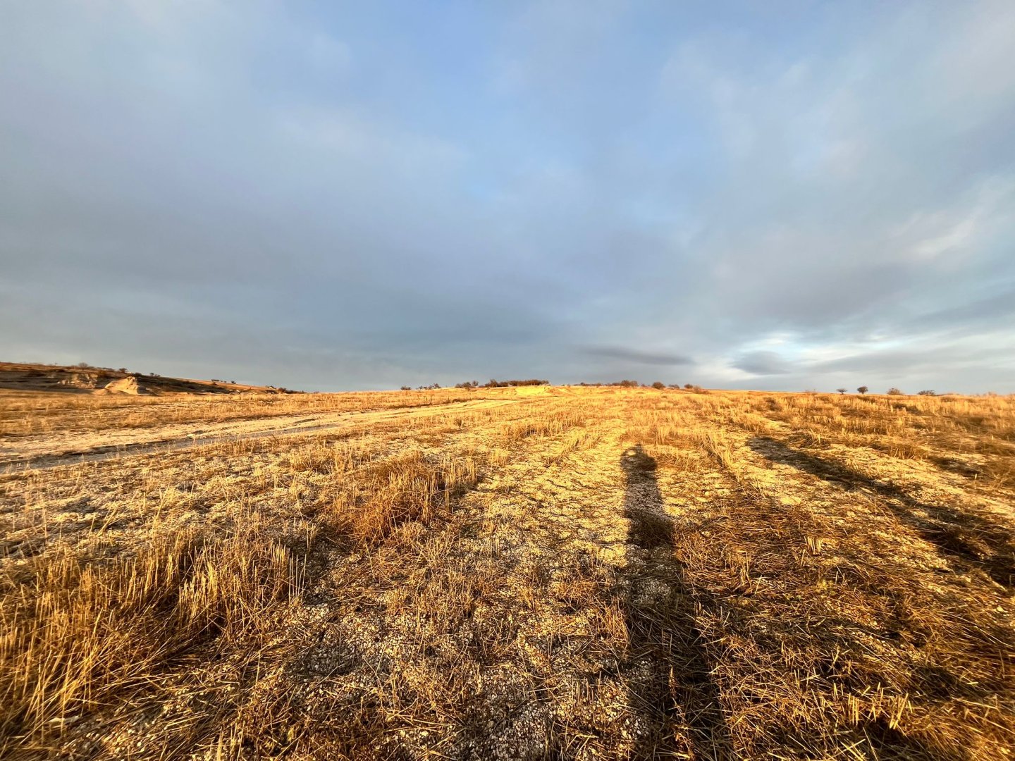 ÇARDAKDA SATILIK TARLA.