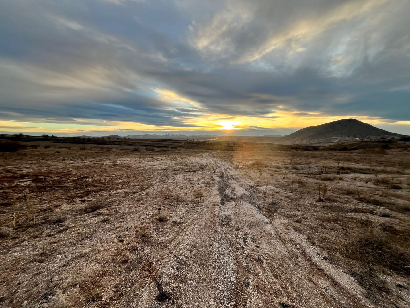 ÇARDAKDA SATILIK TARLA.