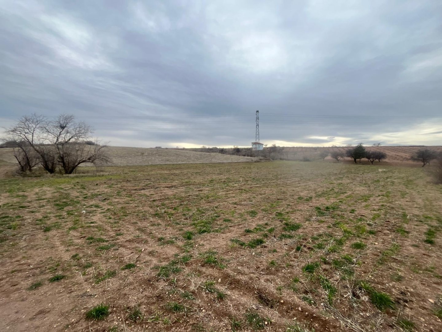 CEVHERDUDAYEVDE SATILIK BAĞ.