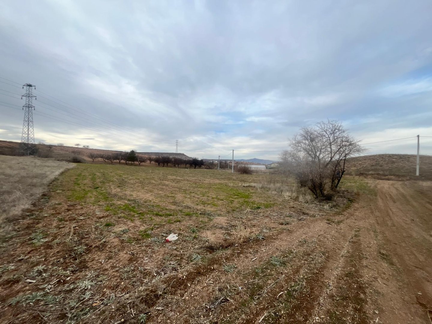 CEVHERDUDAYEVDE SATILIK BAĞ.