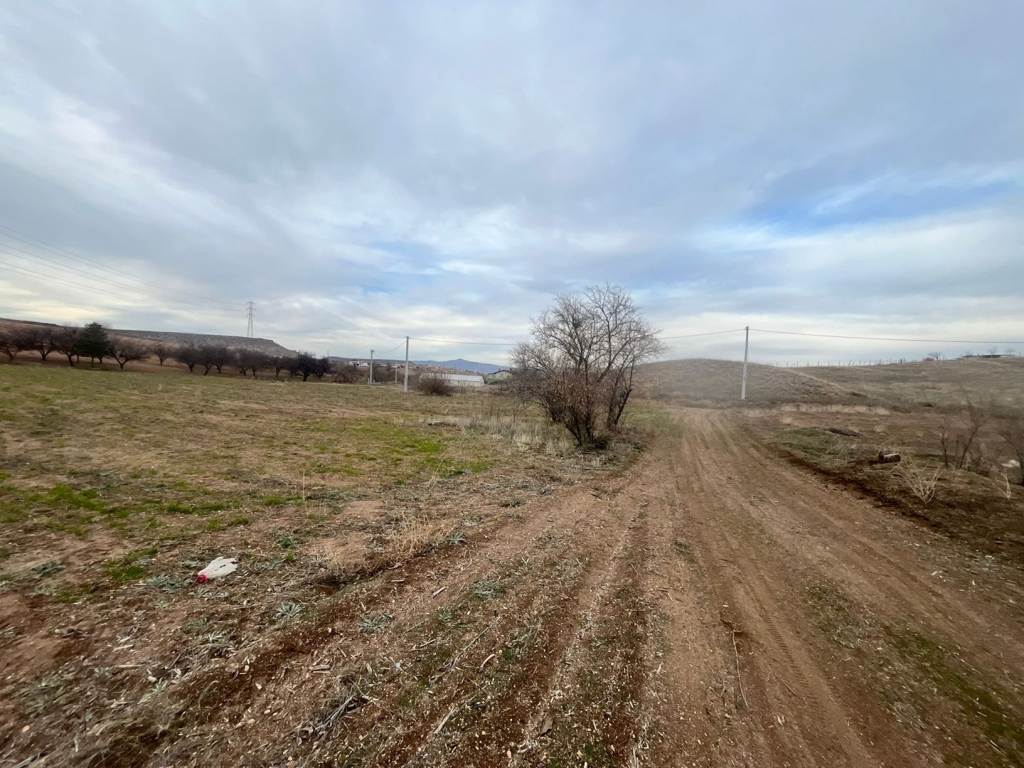 CEVHERDUDAYEVDE SATILIK BAĞ.