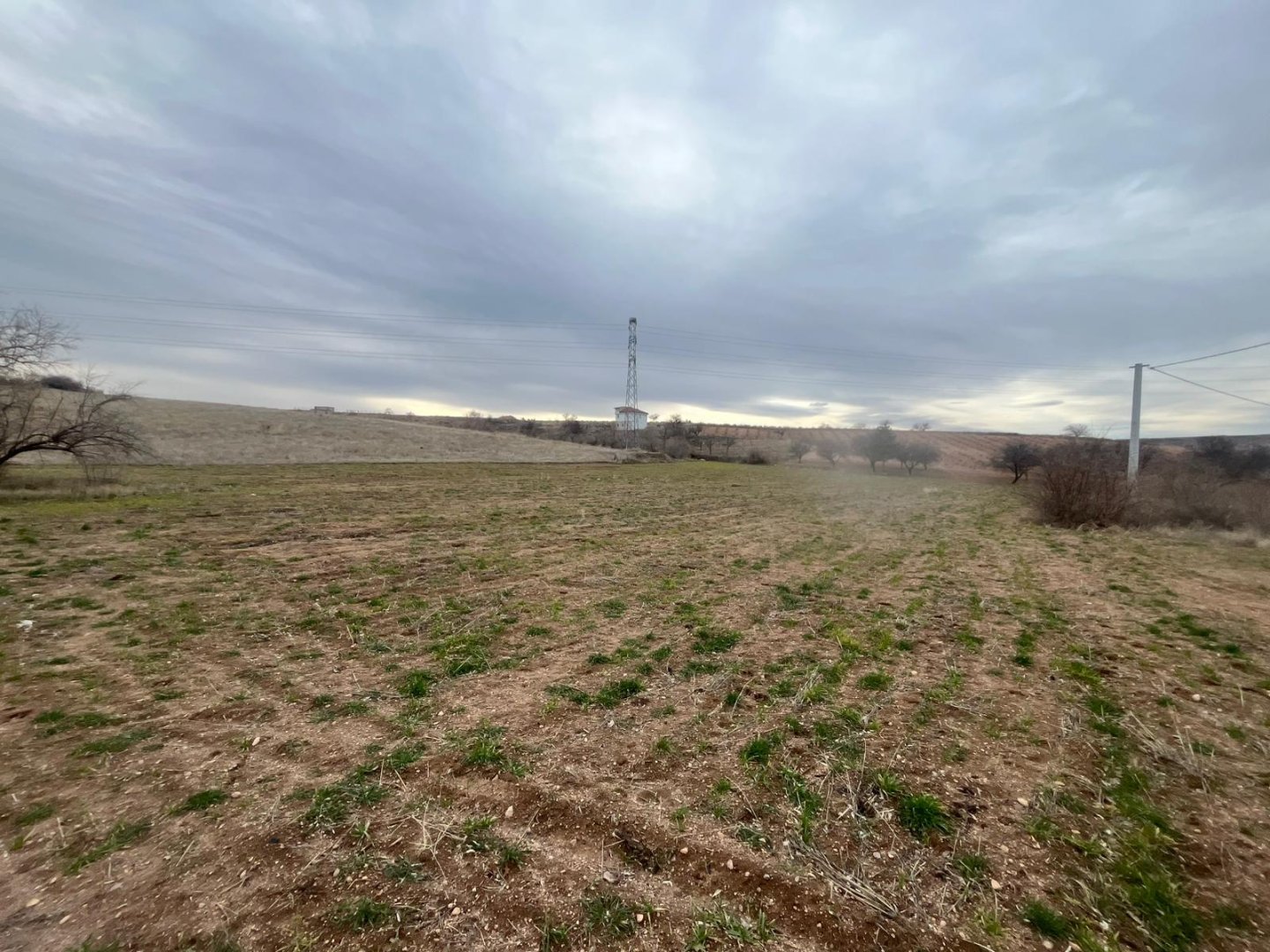 CEVHERDUDAYEVDE SATILIK BAĞ.