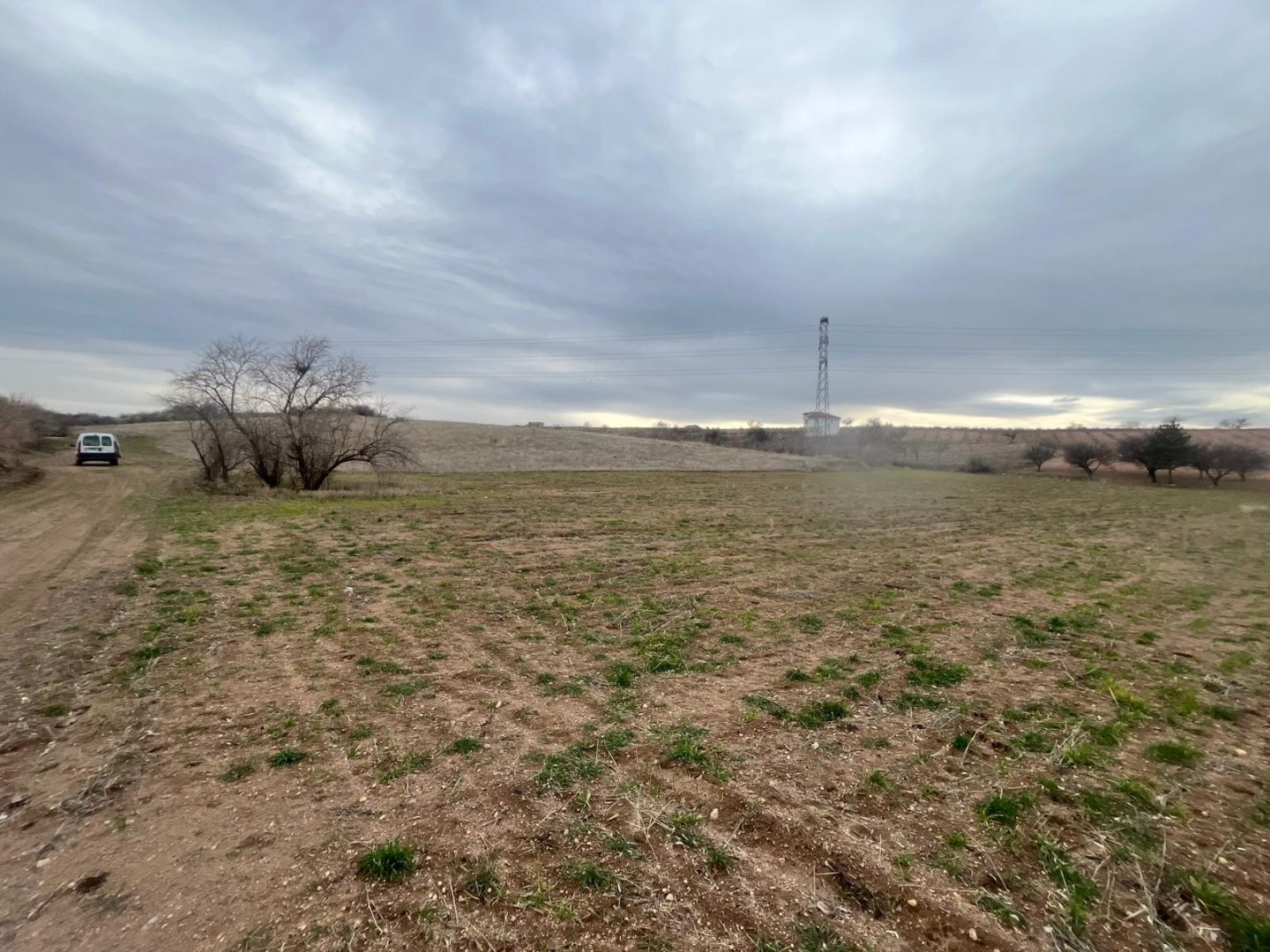 CEVHERDUDAYEVDE SATILIK BAĞ.