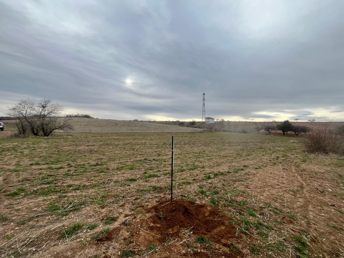 CEVHERDUDAYEVDE SATILIK BAĞ.