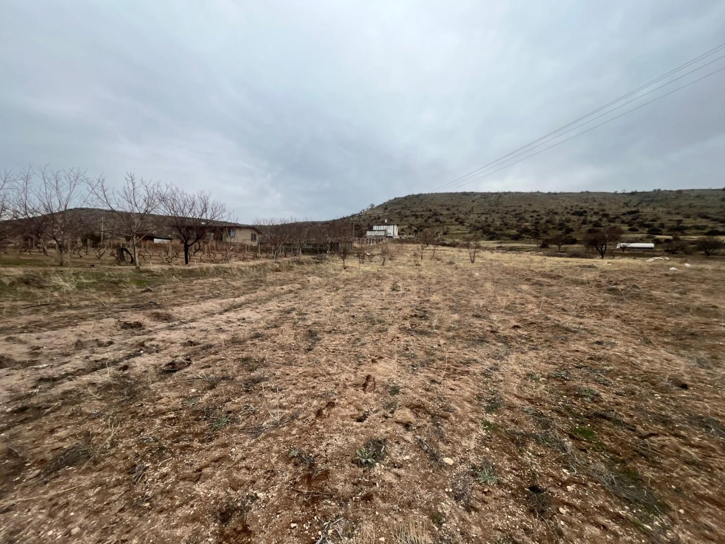 CEVHERDUDAYEVDE SATILIK BAĞ.