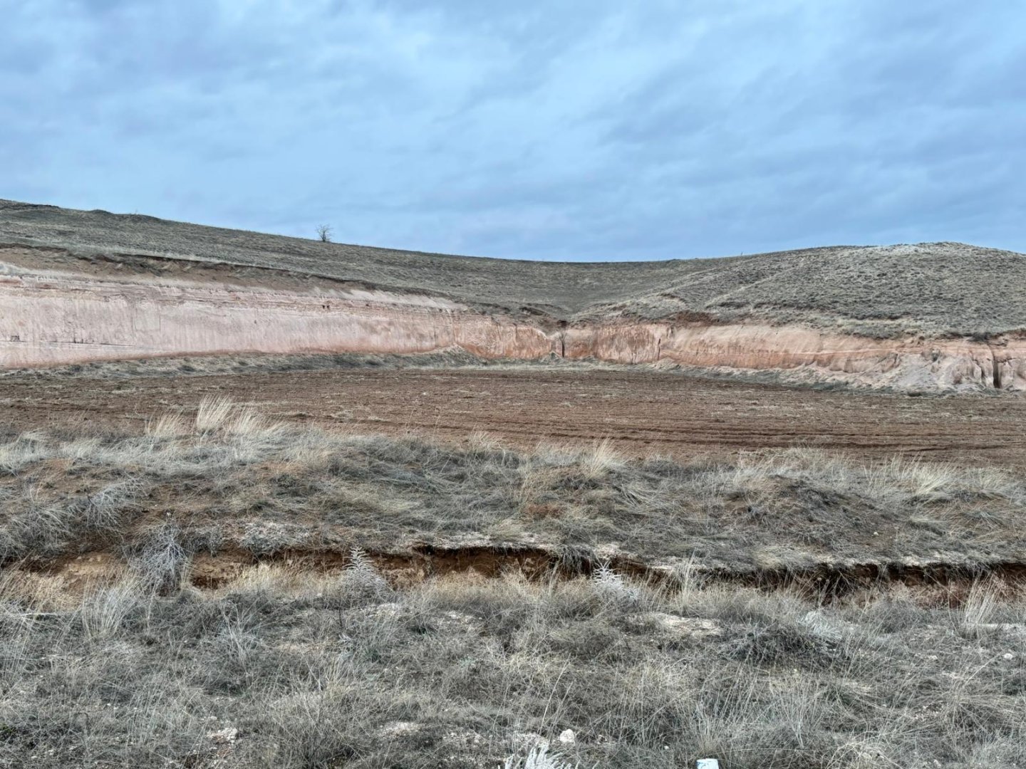 GÖRE ÇAYIRLIKTA 8 DÖNÜM SATILIK TARLA