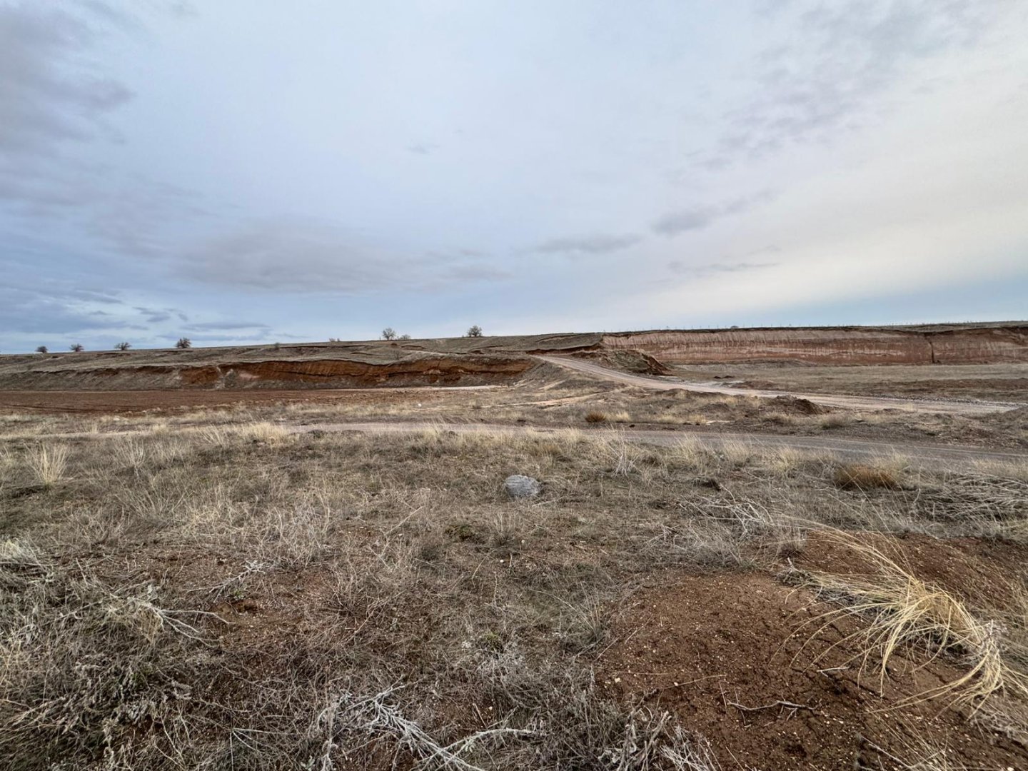 GÖRE ÇAYIRLIKTA 8 DÖNÜM SATILIK TARLA