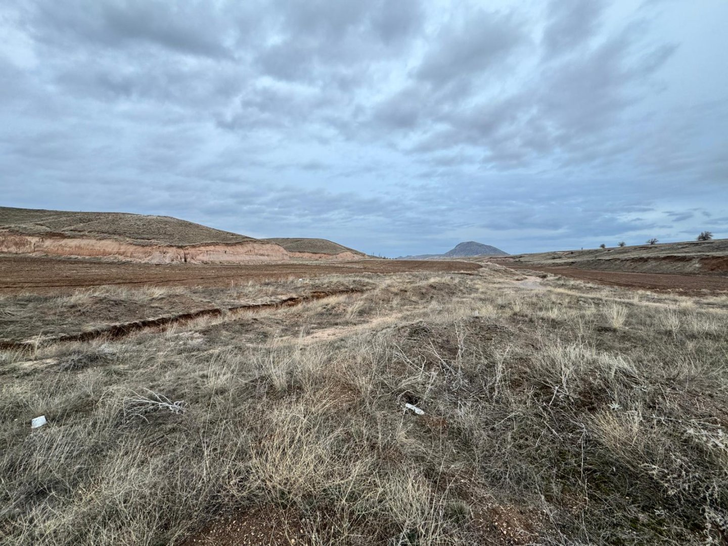 GÖRE ÇAYIRLIKTA 8 DÖNÜM SATILIK TARLA