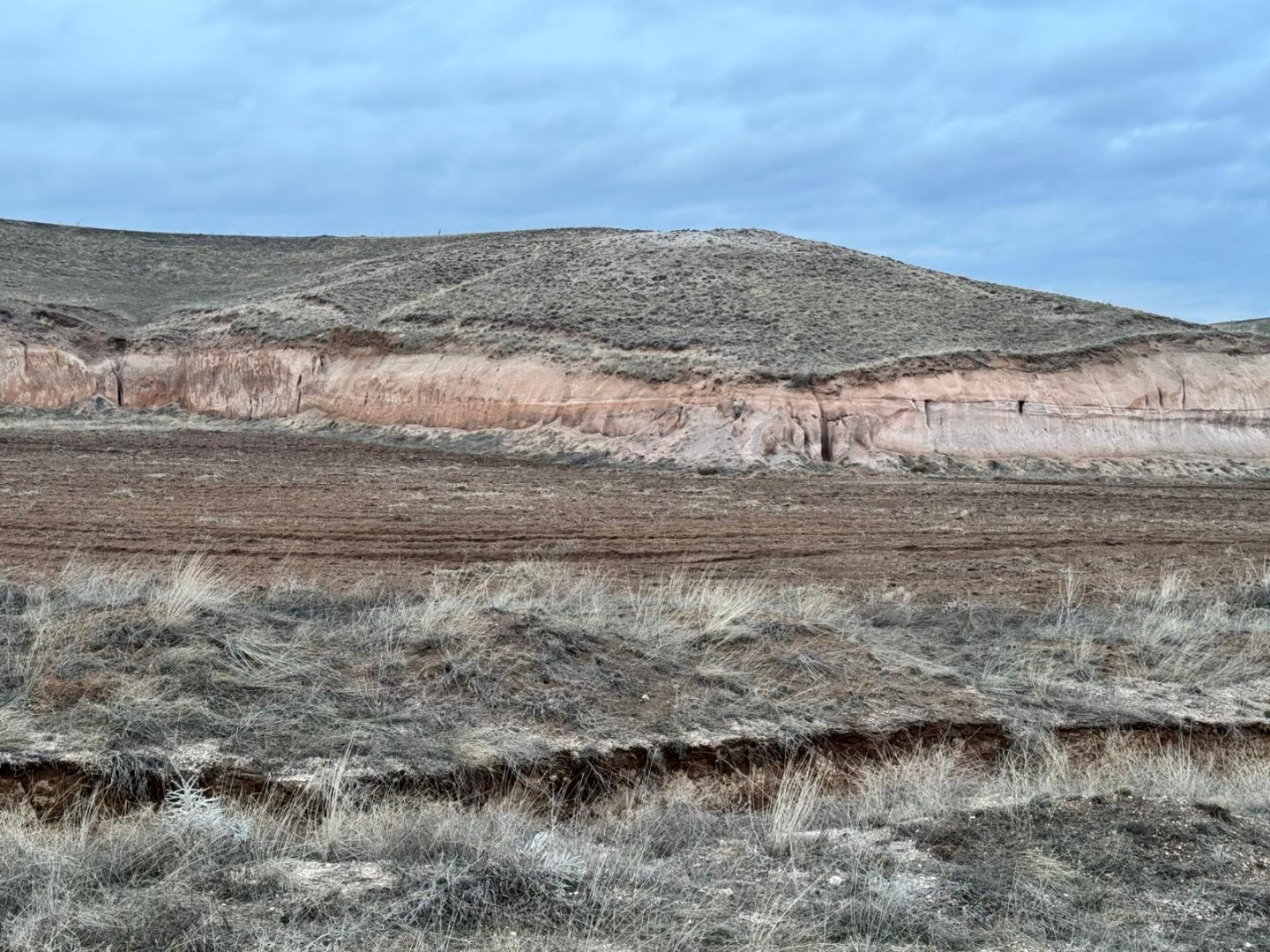 GÖRE ÇAYIRLIKTA 8 DÖNÜM SATILIK TARLA
