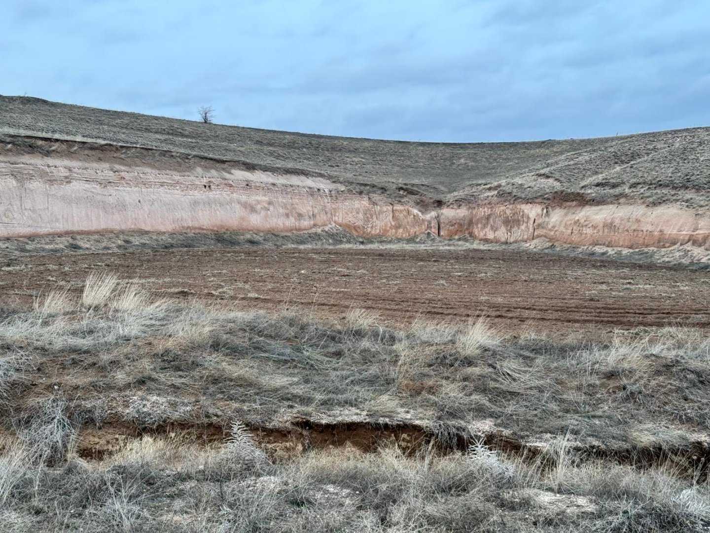 GÖRE ÇAYIRLIKTA 8 DÖNÜM SATILIK TARLA