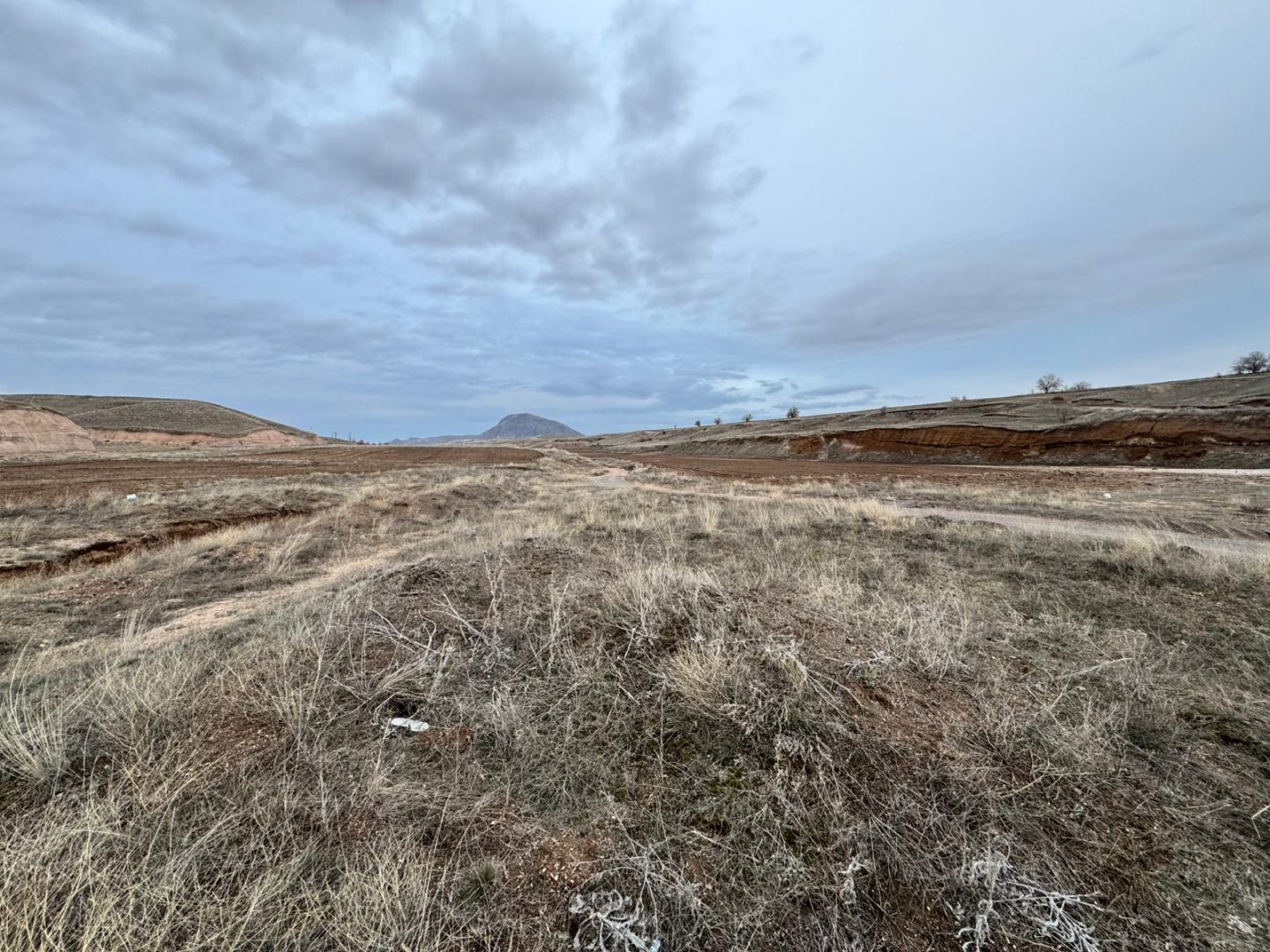 GÖRE ÇAYIRLIKTA 8 DÖNÜM SATILIK TARLA