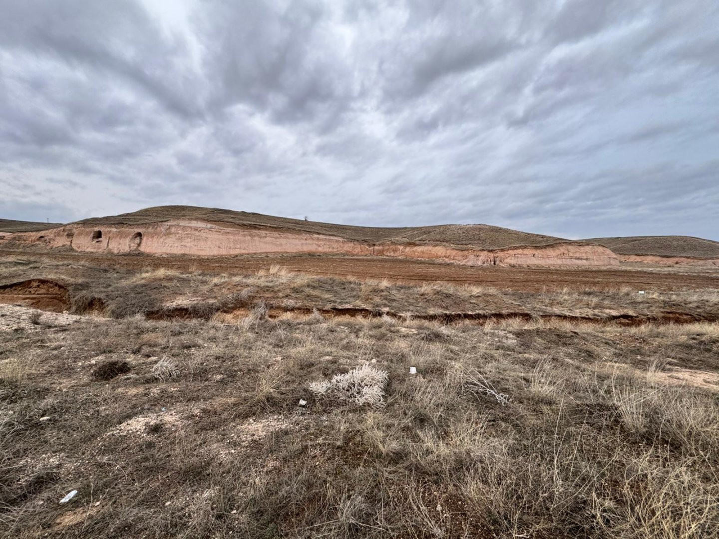 GÖRE ÇAYIRLIKTA 8 DÖNÜM SATILIK TARLA