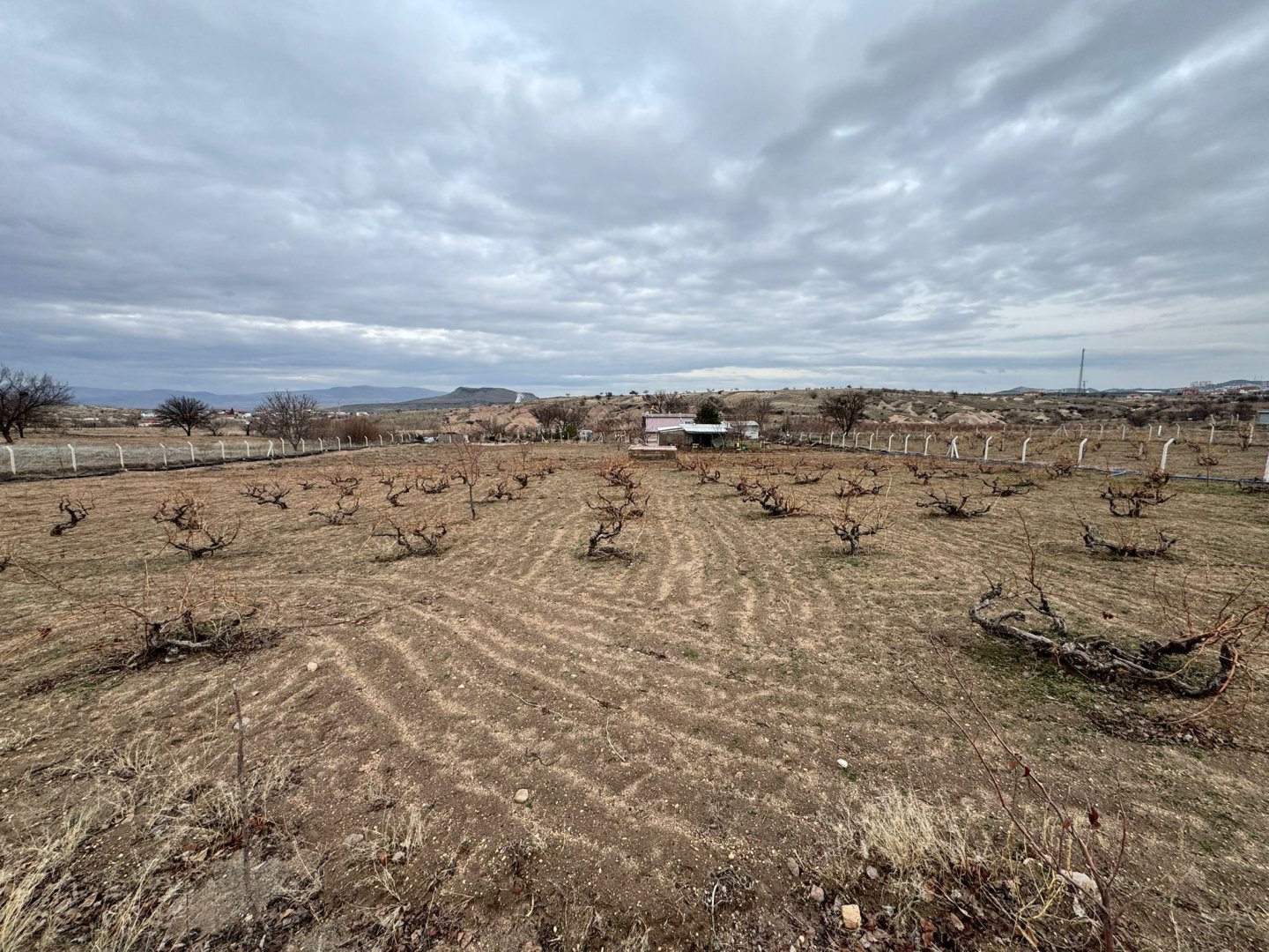 SULUSARAYDA SATILIK TARLA VE BAĞ EVİ