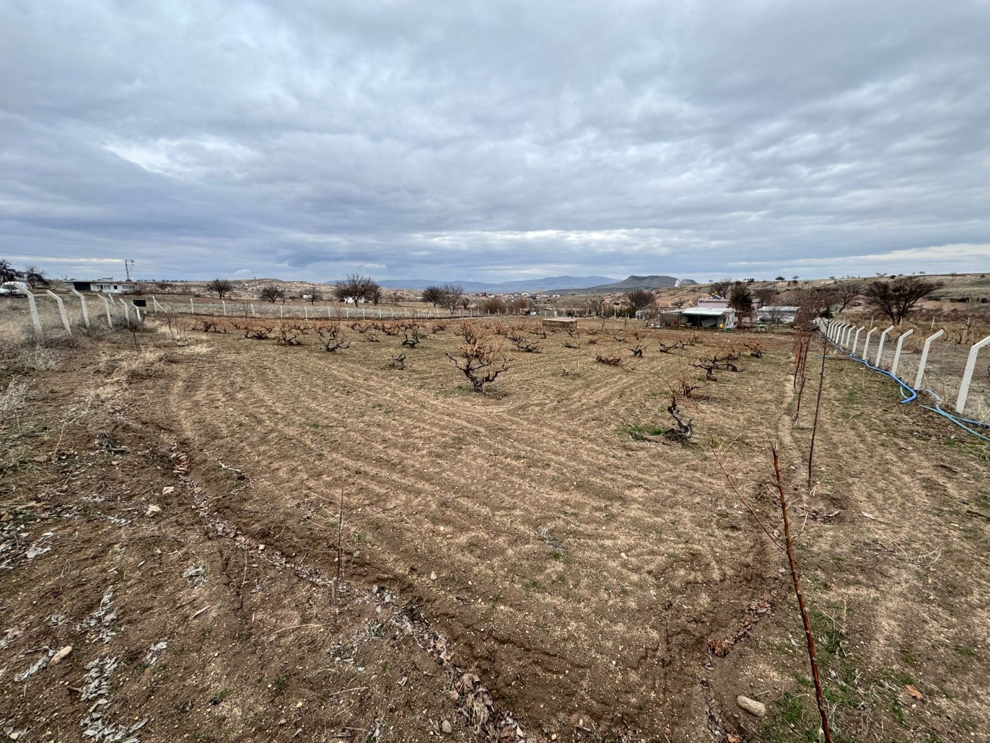 SULUSARAYDA SATILIK TARLA VE BAĞ EVİ