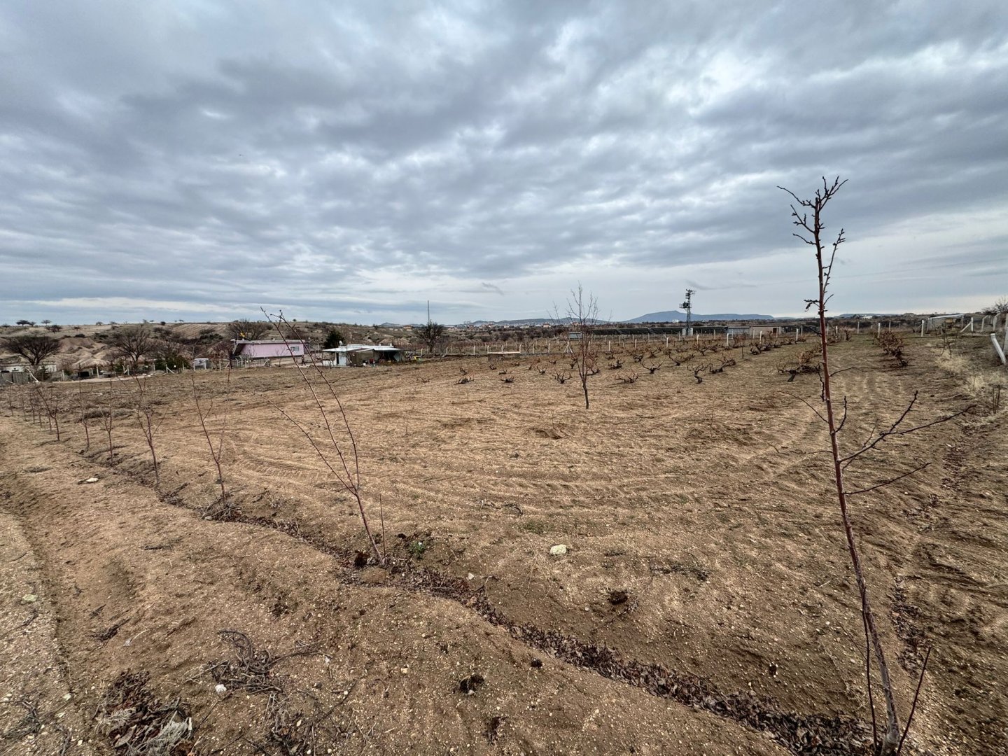 SULUSARAYDA SATILIK TARLA VE BAĞ EVİ