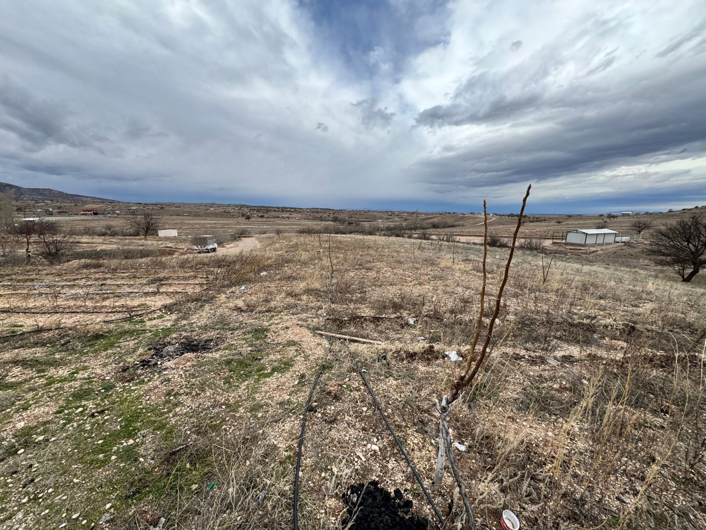 ÇATDA SATILIK BAĞ.