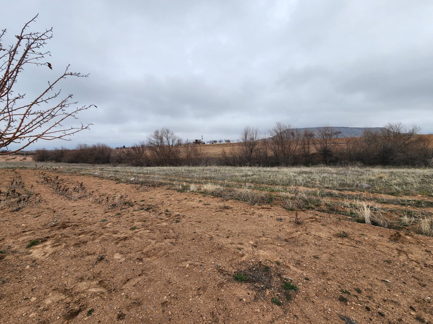 ÇAT MEVKİİNDE SATILIK BAĞ