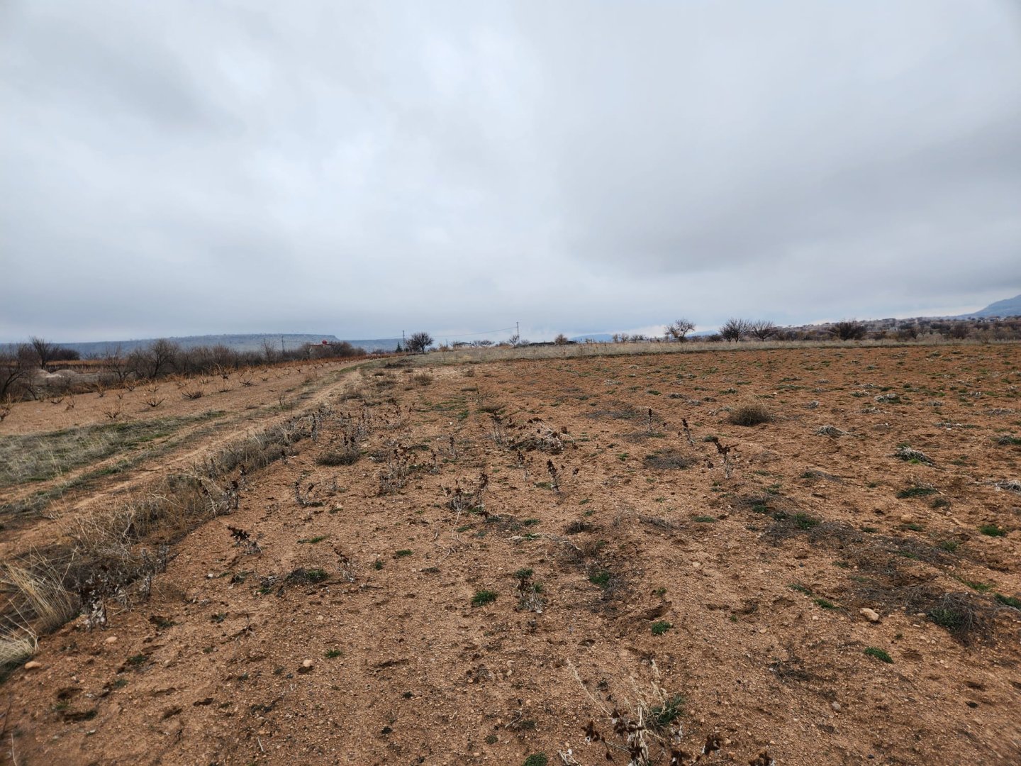 ÇAT MEVKİİNDE SATILIK BAĞ