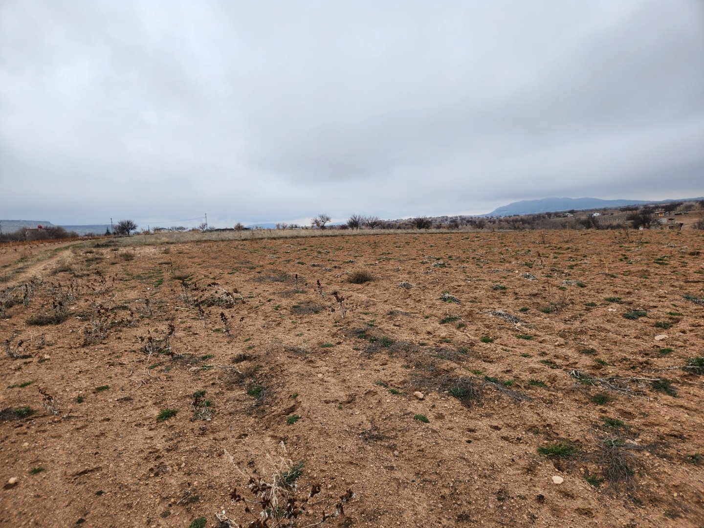 ÇAT MEVKİİNDE SATILIK BAĞ