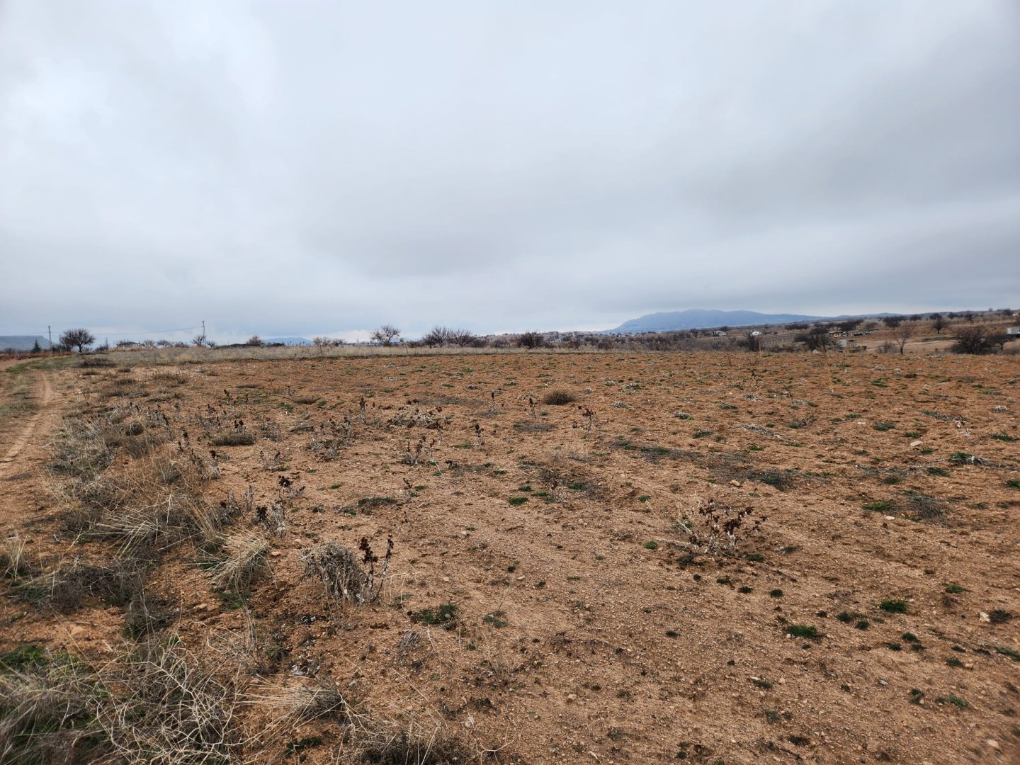 ÇAT MEVKİİNDE SATILIK BAĞ