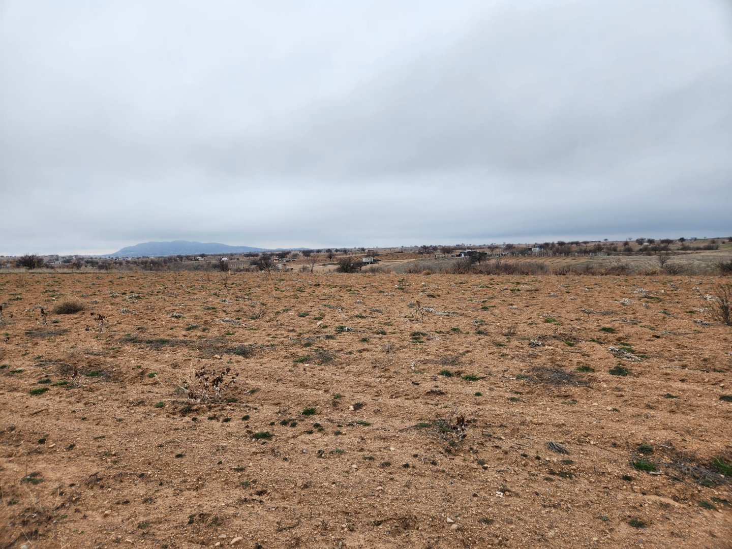 ÇAT MEVKİİNDE SATILIK BAĞ