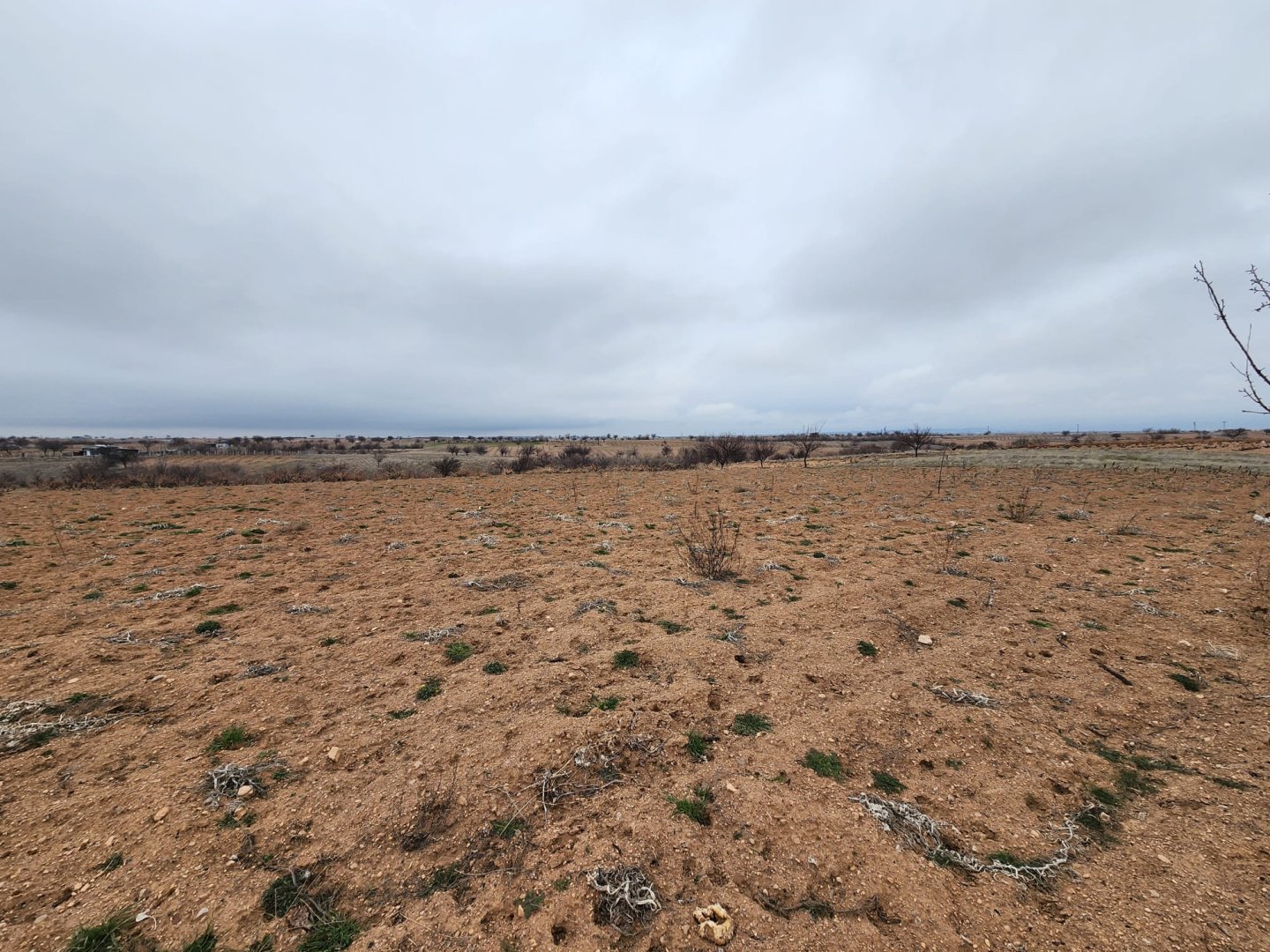 ÇAT MEVKİİNDE SATILIK BAĞ