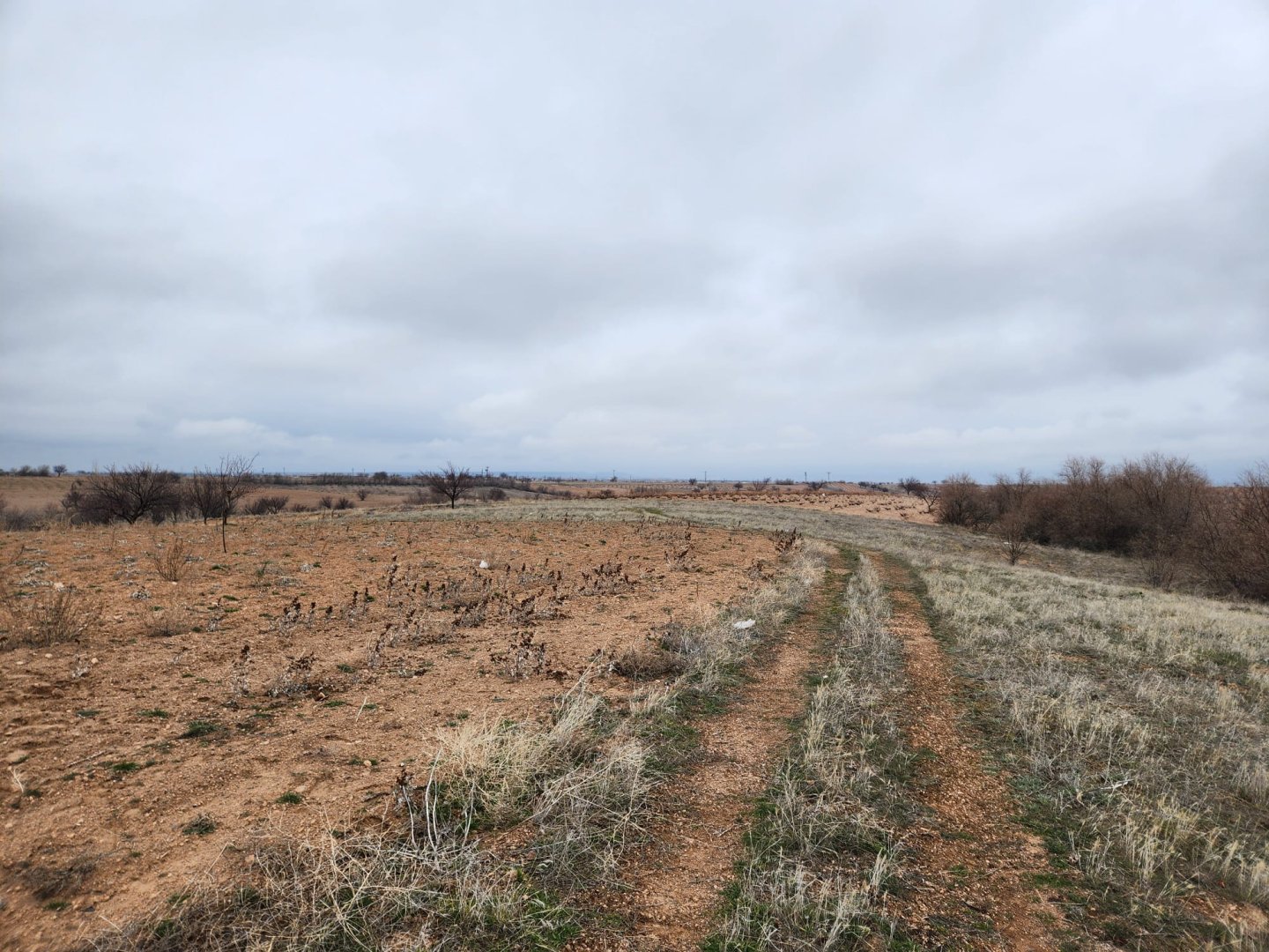 ÇAT MEVKİİNDE SATILIK BAĞ