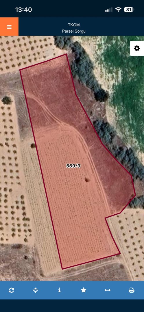 ÇAT MEVKİİNDE SATILIK BAĞ