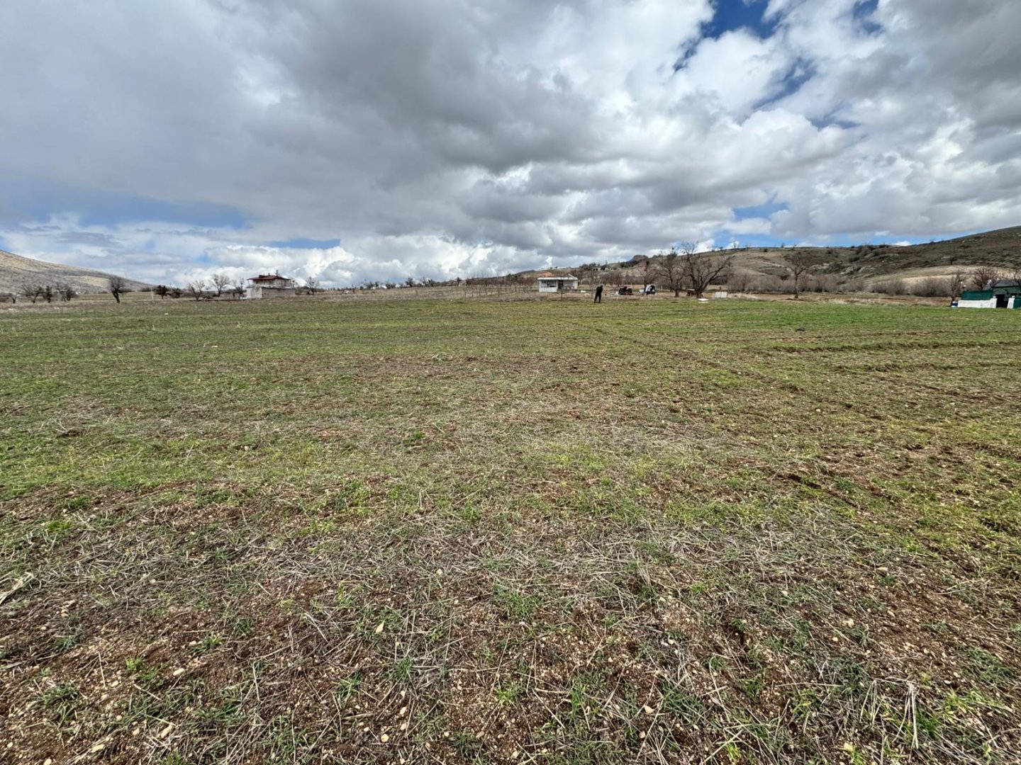 GÖREDE SATILIK ELMA BAHÇESİ