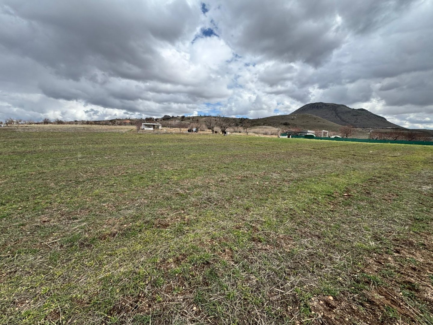 GÖREDE SATILIK ELMA BAHÇESİ