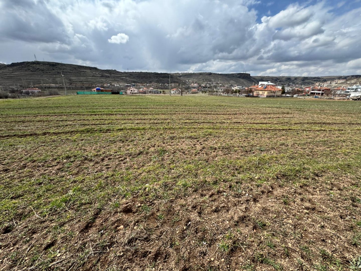 GÖREDE SATILIK ELMA BAHÇESİ